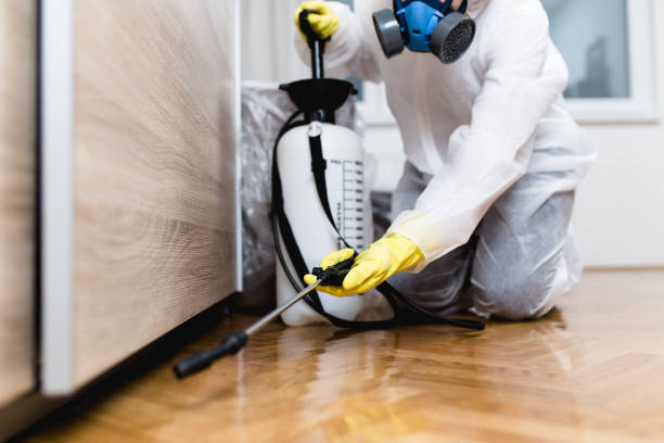 Best Pest Prevention Services  in Lake Ripley, WI