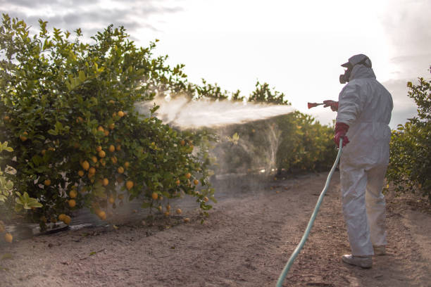 Best Affordable Pest Control Services  in Lake Ripley, WI