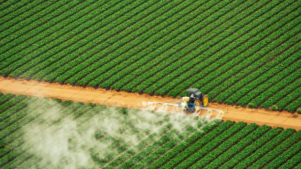 Insect Control in Lake Ripley, WI