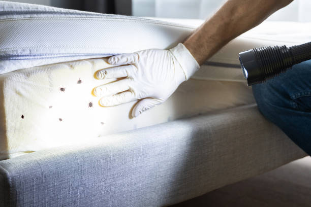 Best Local Pest Control Services  in Lake Ripley, WI