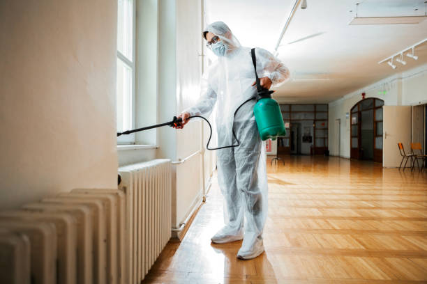 Best Termite Control Services  in Lake Ripley, WI