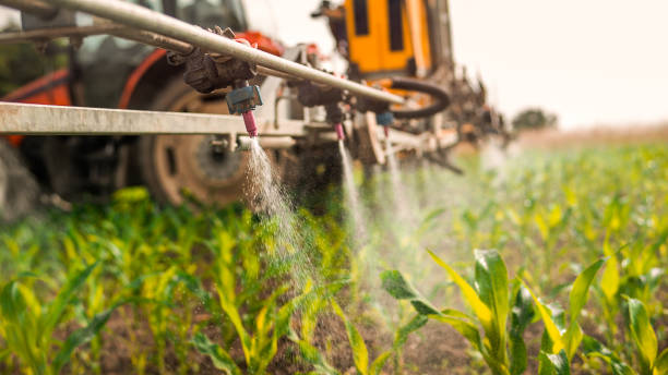 Best Commercial Pest Control Services  in Lake Ripley, WI